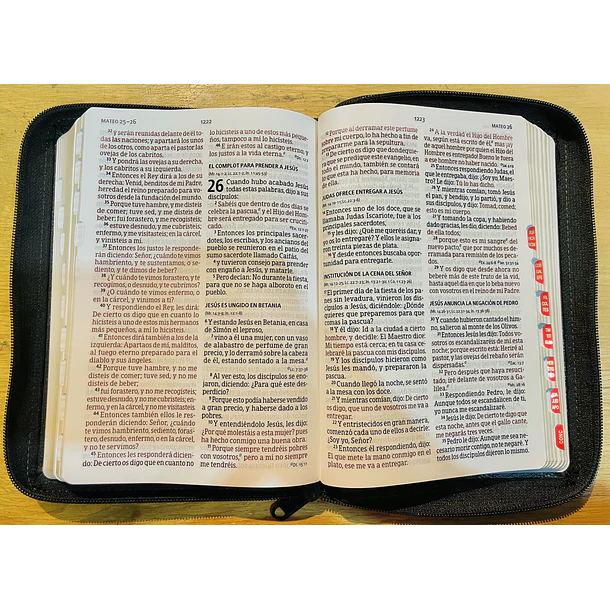 Biblia Tamaño Manual Letra Grande RVR60 Con Índice y Cierre Negro 3