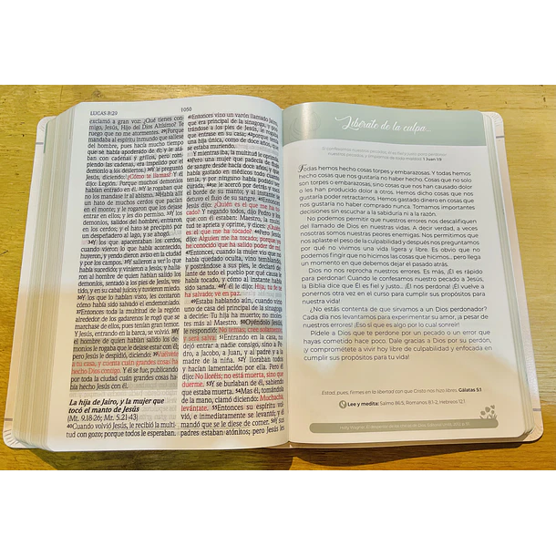 Biblia de Promesas Virtuosa RVR60 3
