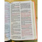 Biblia Letra Grande Tamaño Manual RVR60 Salmón 2