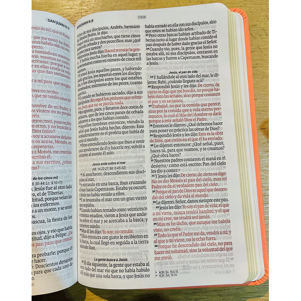 Biblia Letra Grande Tamaño Manual RVR60 Salmón 2