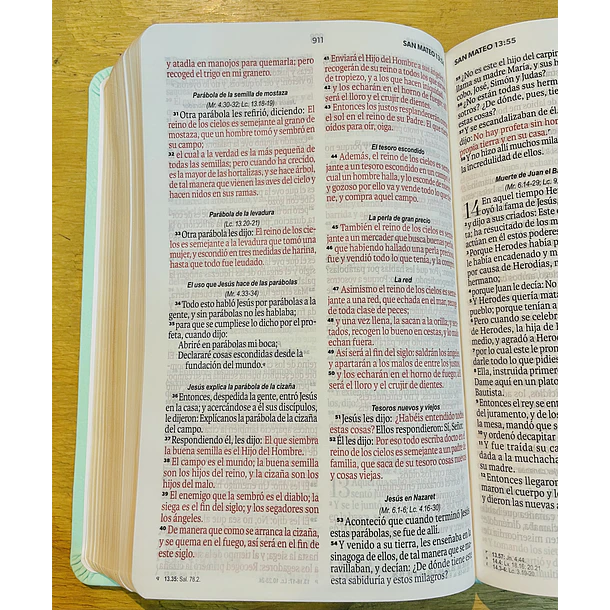 Biblia Letra Grande Tamaño Manual RVR60 Turquesa 2
