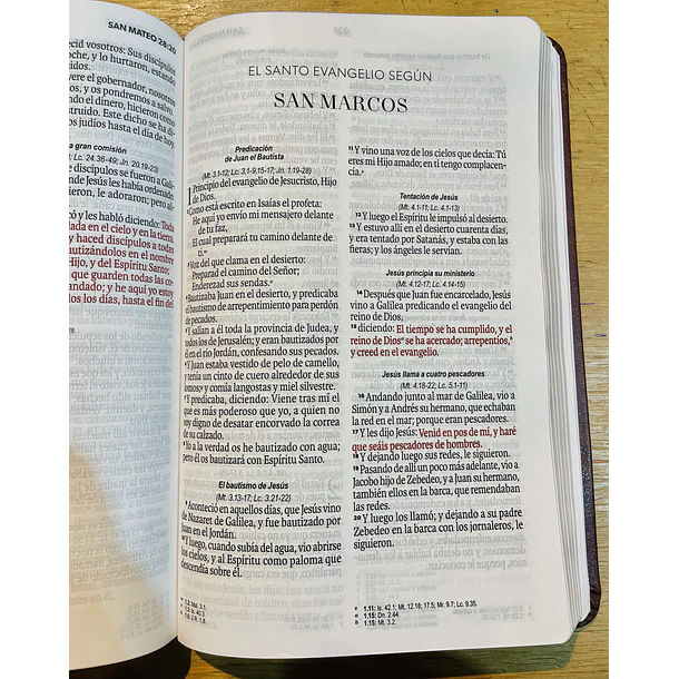 Biblia Letra Grande Tamaño Manual RVR60 Café 2