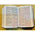 Biblia Letra Grande Tamaño Manual RVR60 Bicolor Rosa 2