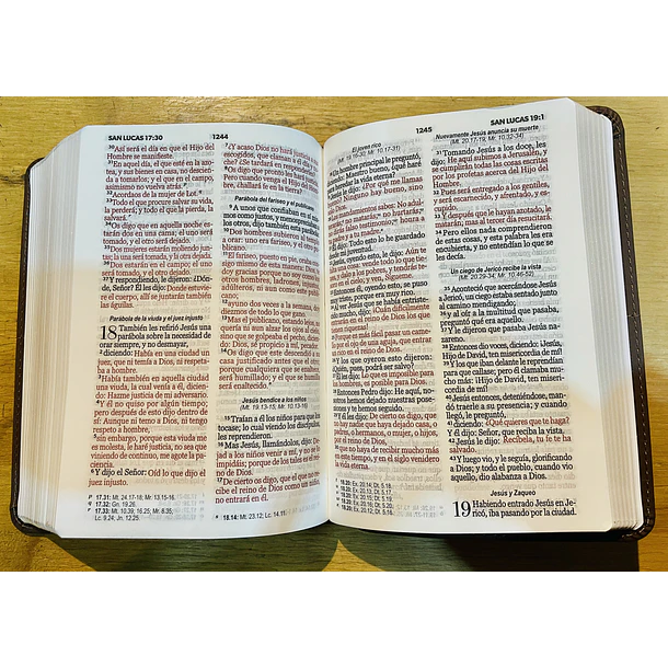 Biblia Tamaño Compacto Letra Grande RVR60 Café 2
