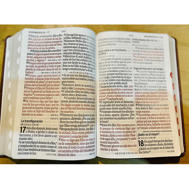 Biblia Letra Súper Gigante RVR60 Con Índice Café 2