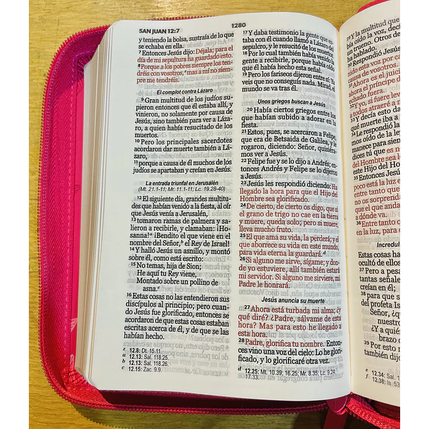 Biblia Tamaño Compacto RVR60 Con Cierre Fucsia/Floral  2