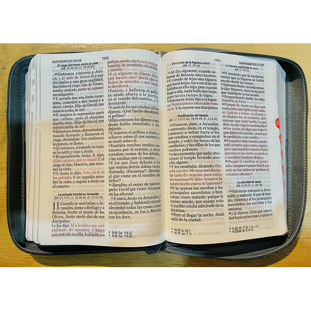 Biblia Tamaño Compacto Letra Grande RVR60 Con Cierre e Índice Gris/Negro León 2