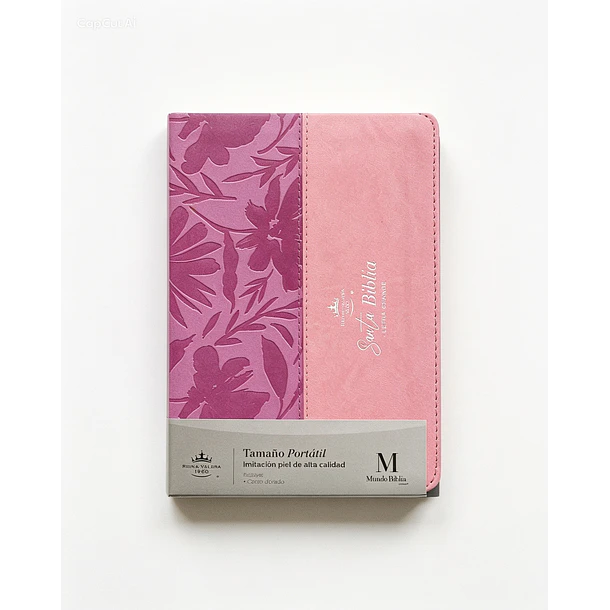 Biblia Letra Grande Tamaño Manual RVR60 Bicolor Rosa 1