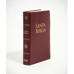 Biblia Tamaño Manual Letra Grande RVR60 Burdeo