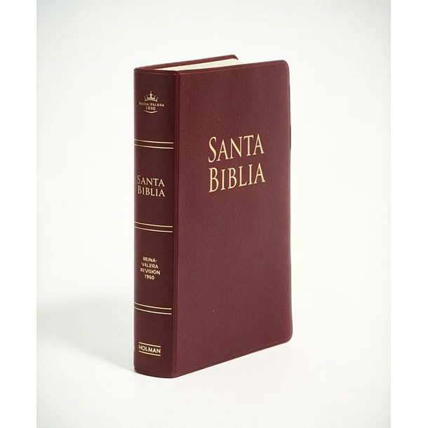 Biblia Tamaño Manual Letra Grande RVR60 Burdeo 1