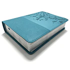 Biblia 