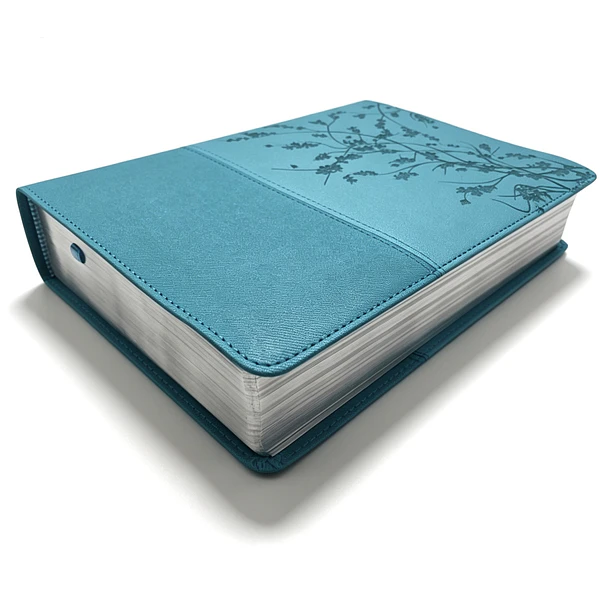 Biblia 