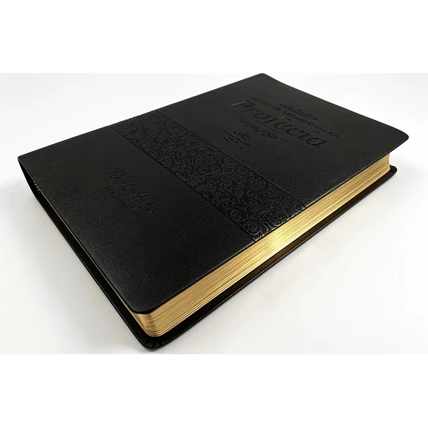 Biblia de Estudio de 