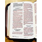 Biblia Tamaño Compacto Letra Grande RVR60 Café Floral 3