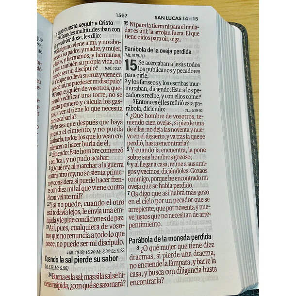 Biblia Tamaño Compacto RVR60 Letra Grande Negro/Gris 3