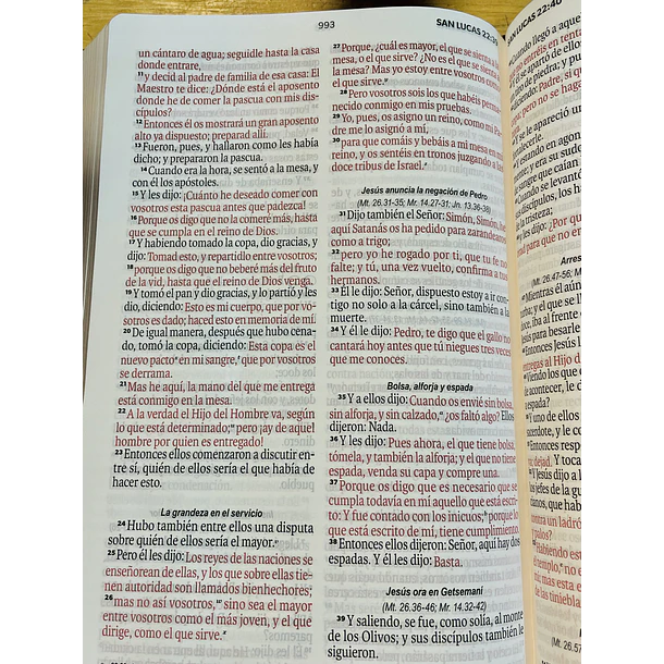 Biblia Tamaño Manual Letra Grande RVR60 Con Asa y Broche Magnético Flores/Negro 3