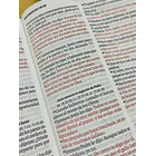 Biblia Tamaño Manual Letra Grande RVR60 Con Cierre Café 2