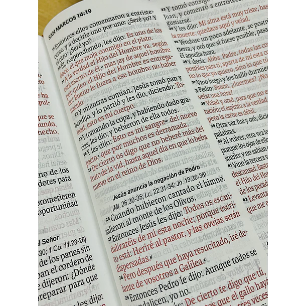 Biblia Tamaño Manual Letra Grande RVR60 Con Cierre Café 2