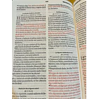 Biblia Tamaño Manual Letra Grande RVR60 Con Asa y Broche Magnético León de Judá 2