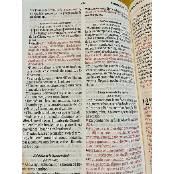 Biblia Tamaño Manual Letra Grande RVR60 Con Asa y Broche Magnético León de Judá 2
