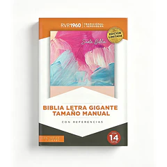 Biblia Tamaño Manual Letra Grande RVR60 Con Índice y Cierre Multicolor
