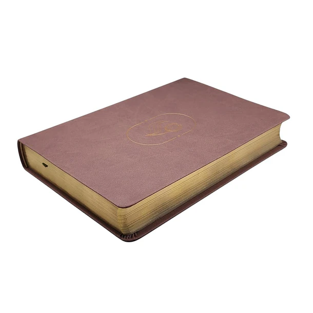 Biblia de Promesas Virtuosa RVR60 Rosa 2