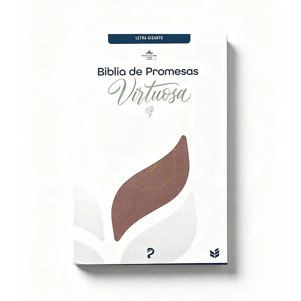 Biblia de Promesas Virtuosa RVR60 Rosa 1