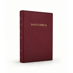 Biblia Tamaño Manual RVR60 Borgoña