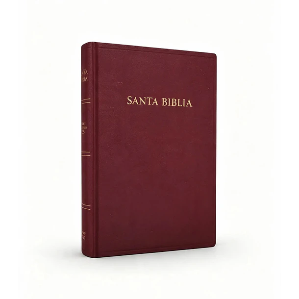 Biblia Tamaño Manual RVR60 Borgoña 1