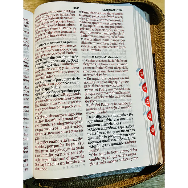 Biblia Tamaño Compacto Letra Grande RVR60 Con Índice y Cierre Tricolor Café 3