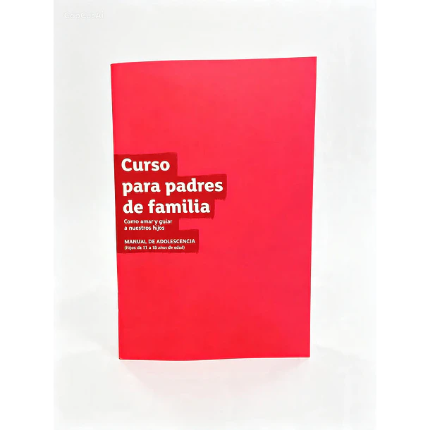 Curso para padres de Familia: Cómo amar y guiar a nuestros hijos 1