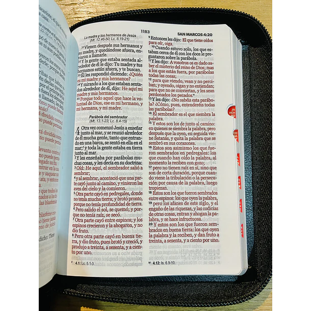 Biblia Tamaño Compacto RVR60 Con Índice y Cierre Negro/Gris Espada 3
