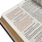 Biblia Tamaño Manual Letra Grande RVR60 Moka Águila 3