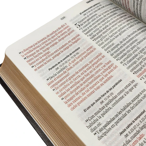 Biblia Tamaño Manual Letra Grande RVR60 Moka Águila 3