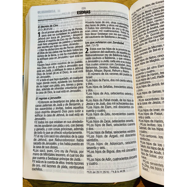 Biblia Tamaño Manual Letra Grande RVR60 Amarillo 2