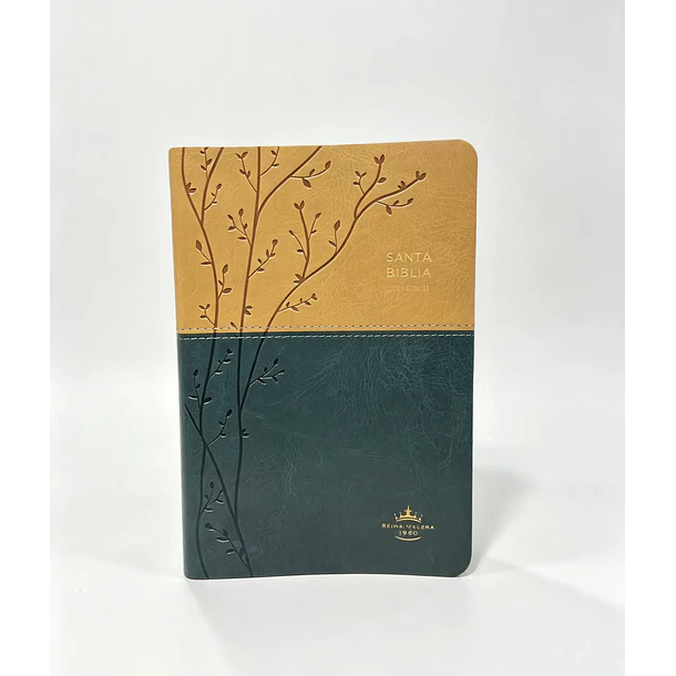 Biblia Tamaño Manual Letra Grande RVR60 Beige/Verde 1