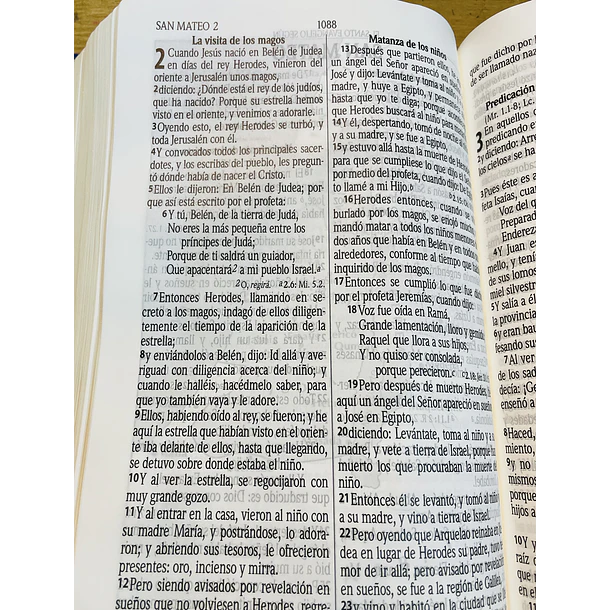Biblia Pastoral Tamaño Manual RVR60 Azul 2