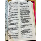 Biblia Tamaño Manual Letra Grande RVR60 Con Cierre Fucsia 2