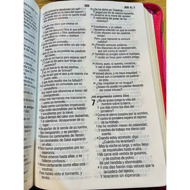 Biblia Tamaño Manual Letra Grande RVR60 Con Cierre Fucsia 2