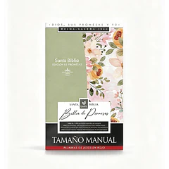 Biblia Tamaño Manual Edición Promesas RVR60 Letra Grande Con Índice Verde Floral