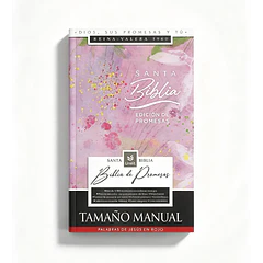 Biblia Tamaño Manual  Edición Promesas Letra Grande RVR60 Con Cierre Lila Floral