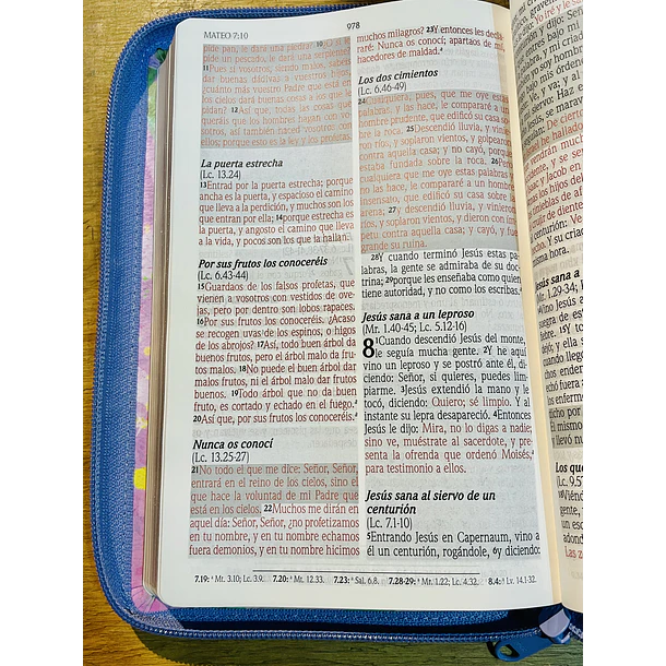Biblia Tamaño Manual  Edición Promesas Letra Grande RVR60 Con Cierre Lila Floral 2
