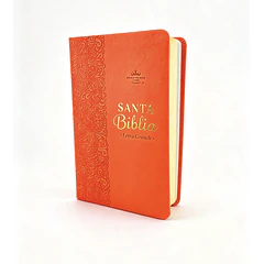 Biblia Letra Grande Tamaño Manual RVR60 Salmón