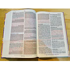 Biblia de Promesas Edición para Mujeres Jóvenes RVR60 3
