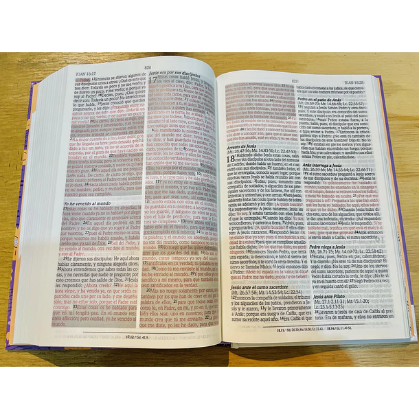 Biblia de Promesas Edición para Mujeres Jóvenes RVR60 3