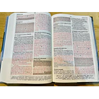 Biblia de Promesas Edición para Hombres Jóvenes RVR60 2