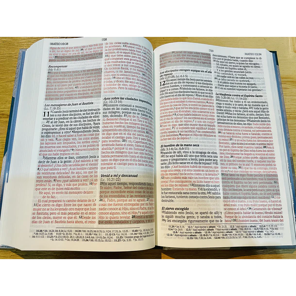 Biblia de Promesas Edición para Hombres Jóvenes RVR60 2