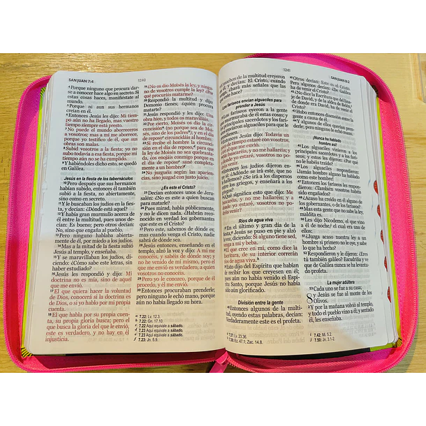Biblia Tamaño Manual Letra Grande RVR60 Con Índice y Cierre Flores Marrón/Fucsia/Lima 3