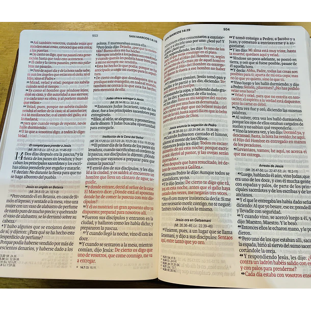 Biblia Tamaño Manual Letra Grande RVR60 Con Asa y Broche Café 3