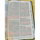 Biblia Tamaño Manual RVR60 Edición Especial León de Judá 3D Con Índice 3